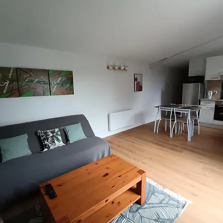 La Falaise - Quiet T3 With Private Parking Caucalieres